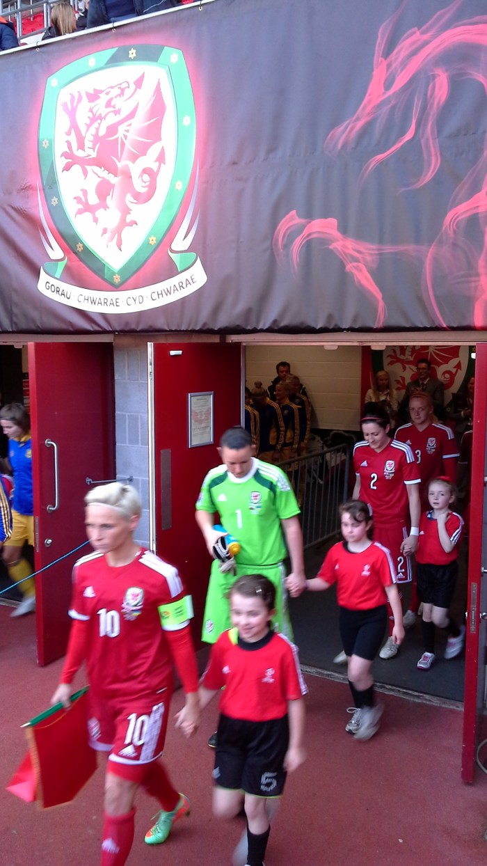 Wales v Ukraine, 2015 World Cup qualifier 