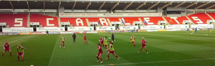 Wales v Ukraine, Llanelli, World Cup 2105 qualifier