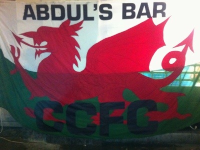 Wales v Belgium, 2014