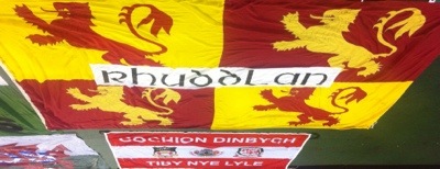 Belgium v Wales, 2014