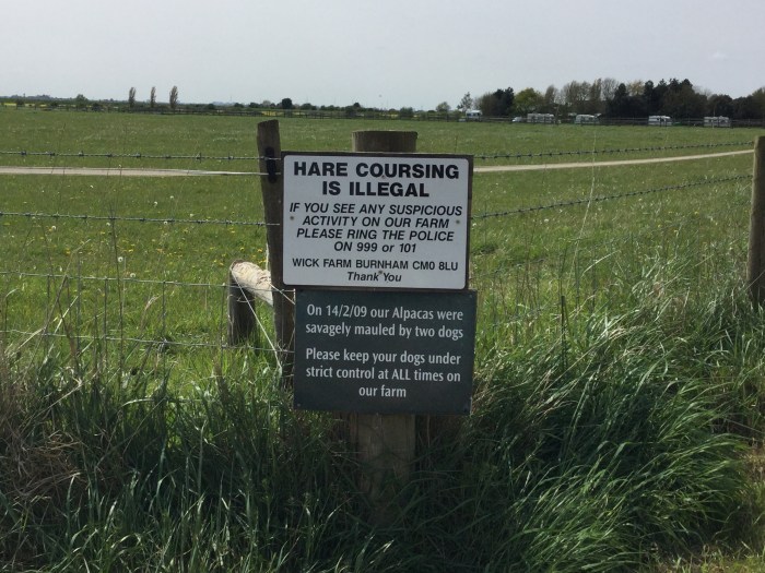 Gordon Brasted Memorial Trophy