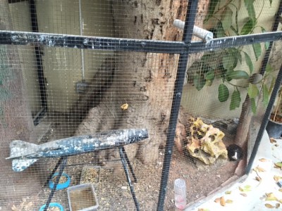 This northern cocktail bar featured a guinea pig run and ornamental rocket shell